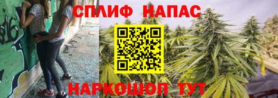 трава Кинель