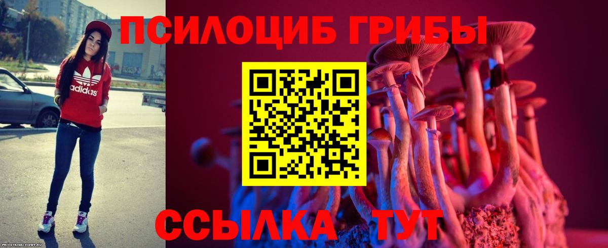Красноуфимск  Псилоцибиновые грибы Cubensis  Вход с VPN 